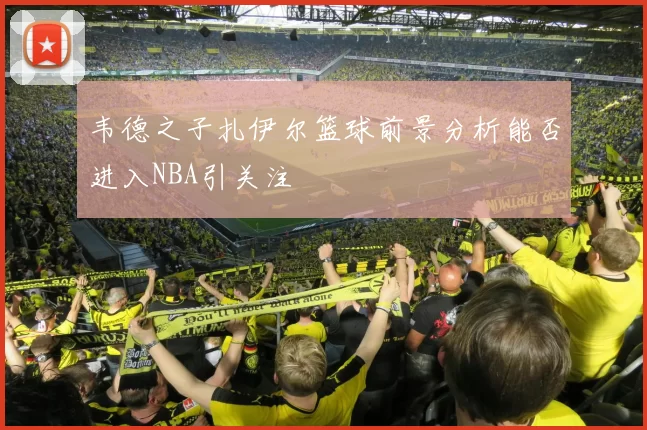 韦德之子扎伊尔篮球前景分析能否进入NBA引关注