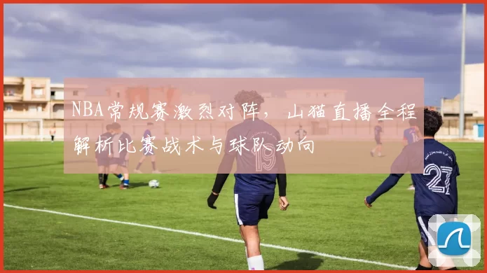 NBA常规赛激烈对阵,山猫直播全程解析比赛战术与球队动向