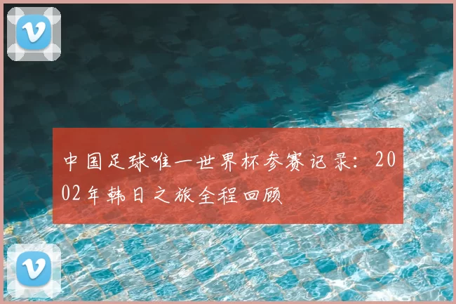 中国足球唯一世界杯参赛记录:2002年韩日之旅全程回顾