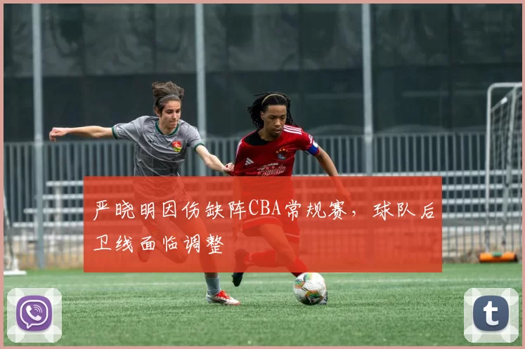 严晓明因伤缺阵CBA常规赛，球队后卫线面临调整