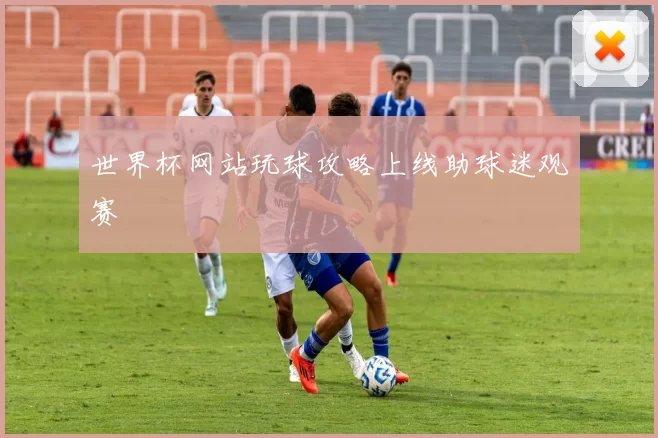 世界杯网站玩球攻略上线助球迷观赛