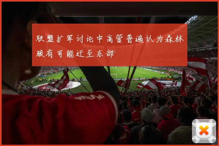联盟扩军讨论中高管普遍认为森林狼有可能迁至东部