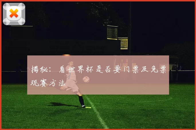 揭秘:看世界杯是否要门票及免票观赛方法