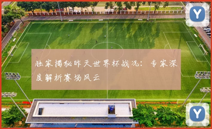 独家揭秘昨天世界杯战况：专家深度解析赛场风云